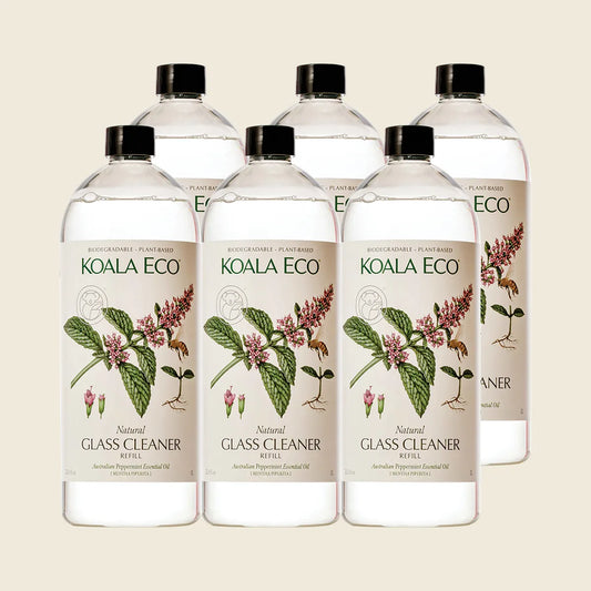 コアラエコ ガラスクリーナー ペパーミント 6x1000ml