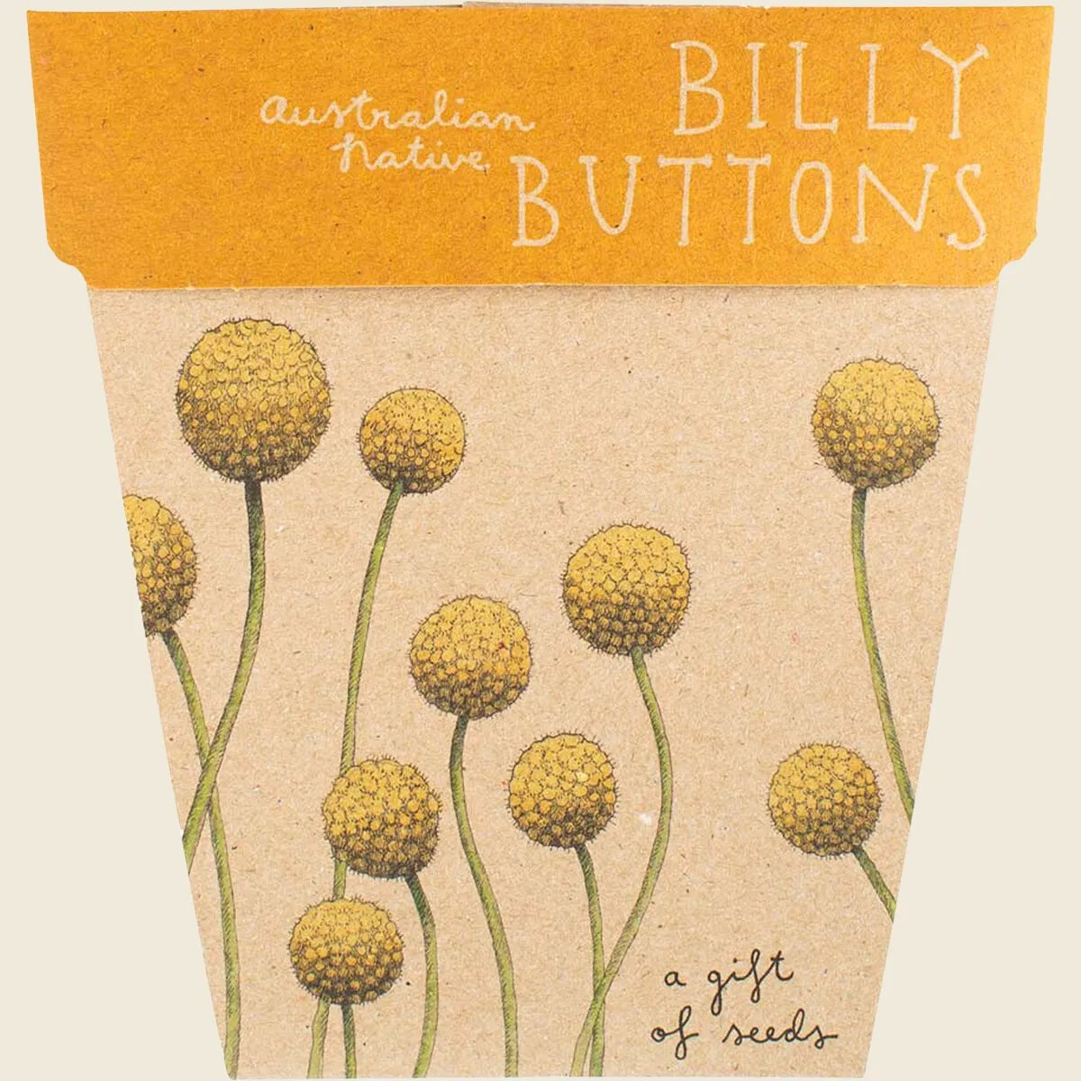 Sow 'n Sow Gift of Seeds Billy Buttons