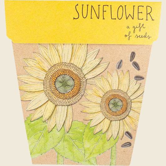 Sow 'n Sow Gift of Seeds Sunflower